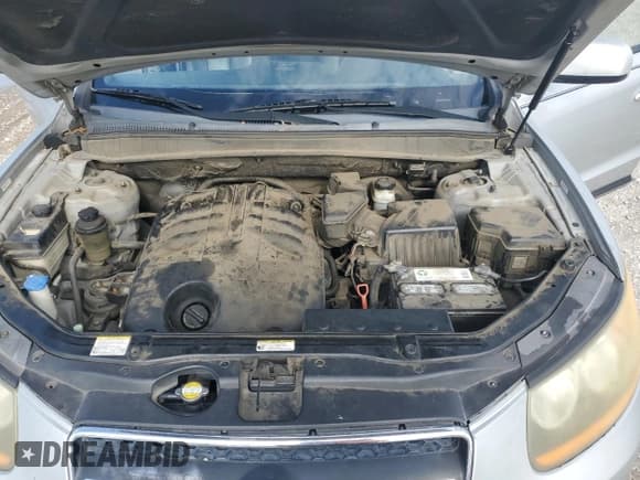 ✅ 2009 Hyundai Santa Fe Limited • VIN: 5NMSH13E49H294966 • Lot: 85399675. Listed on Copart with 245,620 mi. Free auction sales archive from the USA and detailed vehicle history report at DreamBid. Image 11.