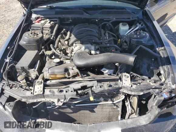 ✅ 2006 Ford Mustang GT Deluxe • VIN: 1ZVHT82H765156007 • Лот: 66899865. Опубликован ранее на Copart с пробегом 42 666 миль. Бесплатный доступ к архиву аукционных продаж из США и подробный отчёт об истории автомобиля на DreamBid. Изображение 11.