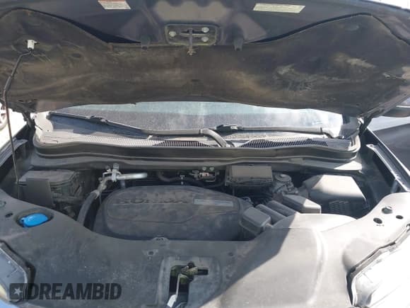 ✅ 2019 Honda Pilot EX-L • VIN: 5FNYF5H43KB005056 • Lot: 40729093. Wystawiony na IAAI z przebiegiem 78 339 mil. Bezpłatny archiwum sprzedaży aukcyjnych z USA i szczegółowy raport historii pojazdu na DreamBid. Zdjęcie 10.