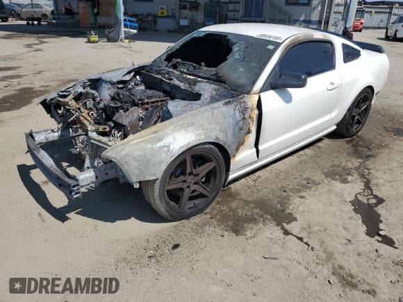 ✅ 2008 Ford Mustang GT Deluxe • VIN: 1ZVHT82H985180747 • Lot: 50656185. Listed on Copart with Not provided. Free auction sales archive from the USA and detailed vehicle history report at DreamBid. Image 1.