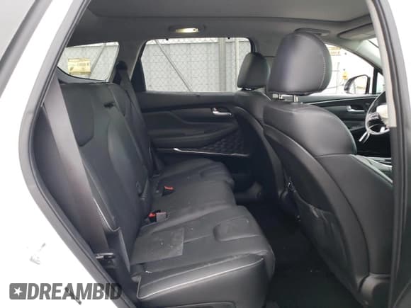 ✅ 2021 Hyundai Santa Fe Limited • VIN: 5NMS4DAL2MH362169 • Lot: 79889773. Wystawiony na Copart z przebiegiem 28 188 mil. Bezpłatny archiwum sprzedaży aukcyjnych z USA i szczegółowy raport historii pojazdu na DreamBid. Zdjęcie 12.