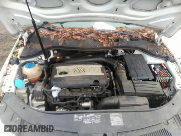 ✅ 2009 Volkswagen Passat Komfort • VIN: WVWJK73C39P035391 • Lot: 42439461. Listed on IAAI with 139,584 mi. Free auction sales archive from the USA and detailed vehicle history report at DreamBid. Image 10.