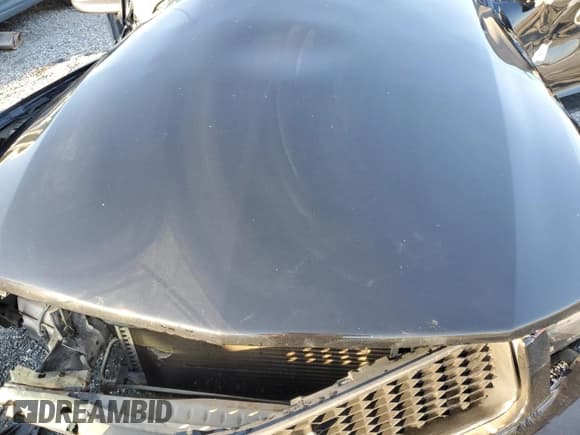 ✅ 2005 Ford Mustang Deluxe • VIN: 1ZVFT84N155192204 • Lot: 48663695. Listed on Copart with Not provided. Free auction sales archive from the USA and detailed vehicle history report at DreamBid. Image 11.