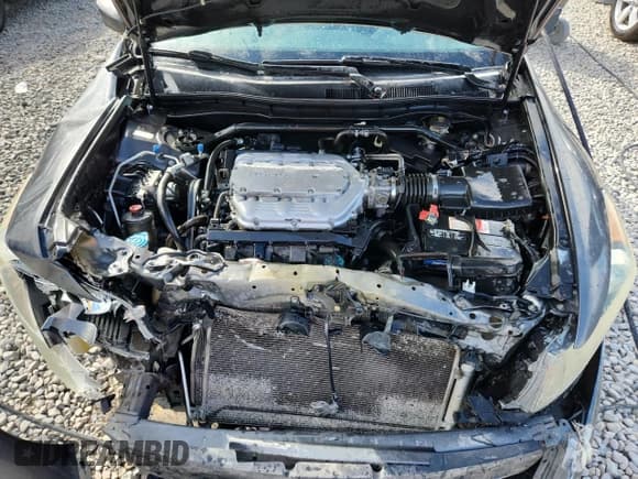 ✅ 2008 Honda Accord EX-L • VIN: 1HGCP36838A000685 • Lot: 84706405. Wystawiony na Copart z przebiegiem 244 224 mil. Bezpłatny archiwum sprzedaży aukcyjnych z USA i szczegółowy raport historii pojazdu na DreamBid. Zdjęcie 11.