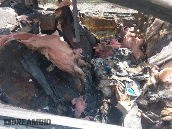 ✅ 1999 Ford Mustang GT • VIN: 1FAFP42X0XF107621 • Lot: 42868649. Listed on IAAI with 53,000 mi. Free auction sales archive from the USA and detailed vehicle history report at DreamBid. Image 5.