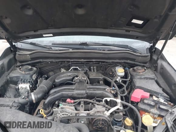 ✅ 2014 Subaru Forester Premium • VIN: JF2SJAEC8EH475338 • Lot: 43453938. Listed on IAAI with 123,138 mi. Free auction sales archive from the USA and detailed vehicle history report at DreamBid. Image 10.