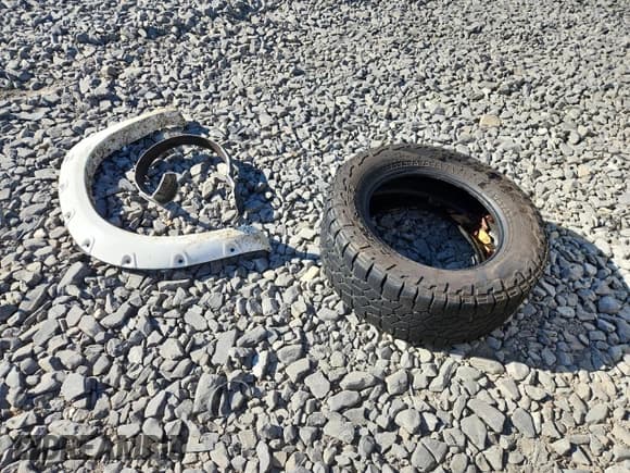 ✅ 2009 Dodge 1500 SLT • VIN: 1D3HV18T89S808386 • Лот: 84799455. Опубликован ранее на Copart с пробегом 160 208 миль. Бесплатный доступ к архиву аукционных продаж из США и подробный отчёт об истории автомобиля на DreamBid. Изображение 12.