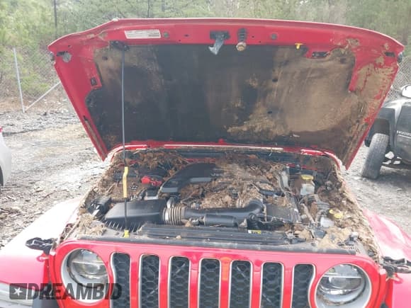 ✅ 2020 Jeep Gladiator Overland • VIN: 1C6HJTFG6LL103360 • Lot: 41619692. Wystawiony na IAAI z przebiegiem Nie podano. Bezpłatny archiwum sprzedaży aukcyjnych z USA i szczegółowy raport historii pojazdu na DreamBid. Zdjęcie 10.