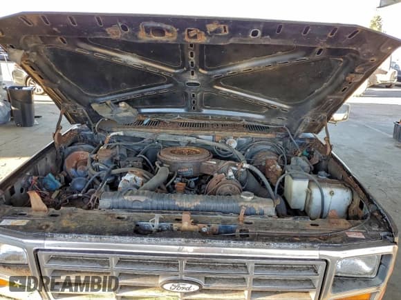 ✅ 1986 Ford F-250 • VIN: 1FTHF2518GPA45607 • Lot: 95485345. Listed on Copart with 34,684 mi. Free auction sales archive from the USA and detailed vehicle history report at DreamBid. Image 11.