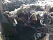 2020 Chevrolet Suburban LS с VIN 1GNSCGKCXLR277813, выставлен на аукционе Copart как лот 73107294 с пробегом Не указан миль и На запчасти • Non repairable. История ставок и продаж доступна на DreamBid. Изображение 9.