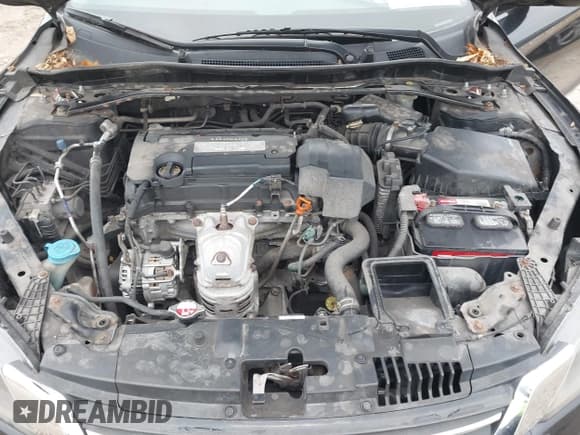 ✅ 2013 Honda Accord EX-L • VIN: 1HGCR2F84DA234185 • Lot: 43796036. Wystawiony na IAAI z przebiegiem 219 330 mil. Bezpłatny archiwum sprzedaży aukcyjnych z USA i szczegółowy raport historii pojazdu na DreamBid. Zdjęcie 10.