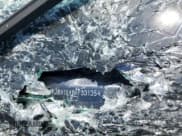 ✅ 2019 Tesla Model S 100D • VIN: 5YJSA1E46KF331354 • Lot: 64455545. Wystawiony na Copart z przebiegiem Nie podano. Bezpłatny archiwum sprzedaży aukcyjnych z USA i szczegółowy raport historii pojazdu na DreamBid. Zdjęcie 12.