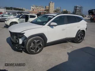 ✅ 2023 Hyundai Tucson SEL • VIN: 5NMJF3AEXPH225762 • Lot: 73742454. Wystawiony na Copart z przebiegiem 9 857 mil. Bezpłatny archiwum sprzedaży aukcyjnych z USA i szczegółowy raport historii pojazdu na DreamBid. Zdjęcie 1.