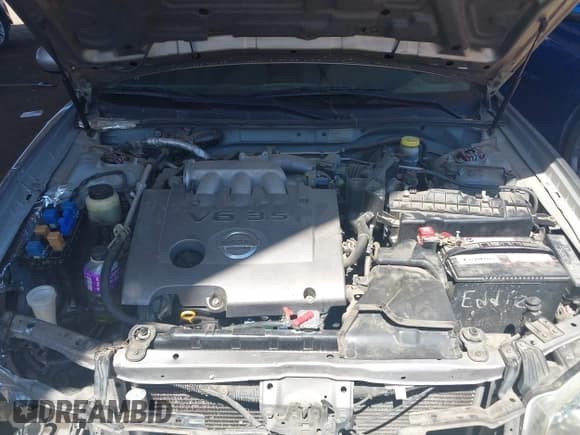 ✅ 2003 Nissan Maxima SE • VIN: JN1DA31D43T512898 • Lot: 42111179. Wystawiony na IAAI z przebiegiem 210 817 mil. Bezpłatny archiwum sprzedaży aukcyjnych z USA i szczegółowy raport historii pojazdu na DreamBid. Zdjęcie 10.