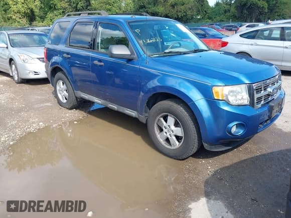 ✅ 2010 Ford Escape XLT • VIN: 1FMCU0D70AKB41824 • Lot: 43263123. Wystawiony na IAAI z przebiegiem 121 884 mil. Bezpłatny archiwum sprzedaży aukcyjnych z USA i szczegółowy raport historii pojazdu na DreamBid. Zdjęcie 1.