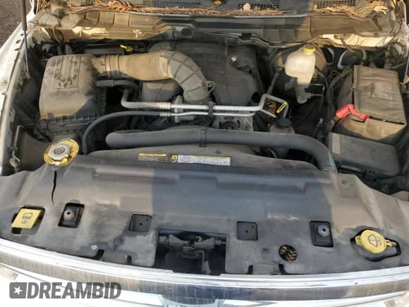 2010 Dodge 1500 SLT with VIN 1D7RV1GT5AS157324, listed as a Copart auction lot 78464954 with 104,366 mi miles and Salvage title. Bid and sale history available at DreamBid. Image 11.