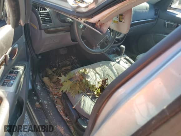 ✅ 2010 Hyundai Santa Fe GLS • VIN: 5NMSG3ABXAH333829 • Лот: 74930884. Размещён на Copart с пробегом 191 066 миль миль. Получите бесплатный доступ к архиву аукционных продаж из США и посмотрите подробный отчёт об истории автомобиля на DreamBid. Изображение 8.