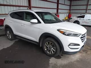 2017 Hyundai Tucson SE with VIN KM8J3CA46HU266668, listed as a IAAI auction lot 43485409 with 132,509 mi miles and . Bid and sale history available at DreamBid. Image 1.