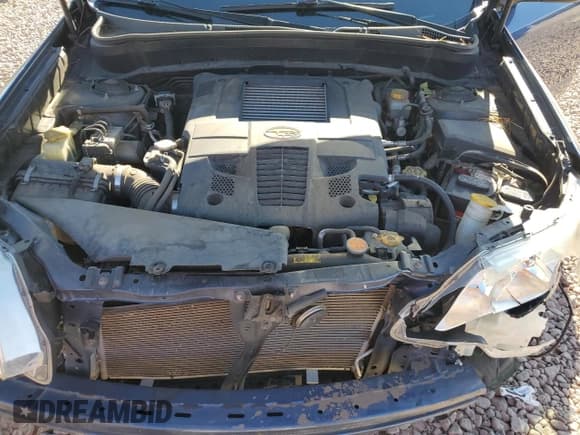 ✅ 2013 Subaru Forester XT Premium • VIN: JF2SHGAC2DH421360 • Лот: 88153315. Опубликован ранее на Copart с пробегом 77 749 миль. Бесплатный доступ к архиву аукционных продаж из США и подробный отчёт об истории автомобиля на DreamBid. Изображение 12.