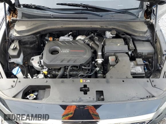 ✅ 2019 Hyundai Santa Fe Limited • VIN: 5NMS53AA6KH070317 • Lot: 38154884. Wystawiony na Copart z przebiegiem 49 722 mil. Bezpłatny archiwum sprzedaży aukcyjnych z USA i szczegółowy raport historii pojazdu na DreamBid. Zdjęcie 12.