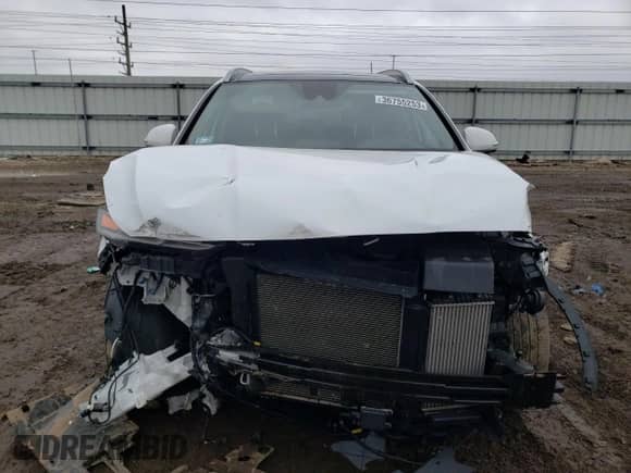 2019 Hyundai Santa Fe Ultimate z VIN 5NMS5CAA5KH107101, wystawiony jako Copart lot #36755253 z przebiegiem 43 696 mil mil oraz . Historia ofert i sprzedaży dostępna na DreamBid. Obrazek 5.