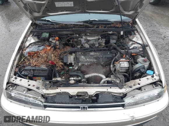 ✅ 1993 Honda Accord • VIN: JHMCB7689PC058855 • Lot: 43819669. Listed on IAAI with 199,357 mi. Free auction sales archive from the USA and detailed vehicle history report at DreamBid. Image 10.