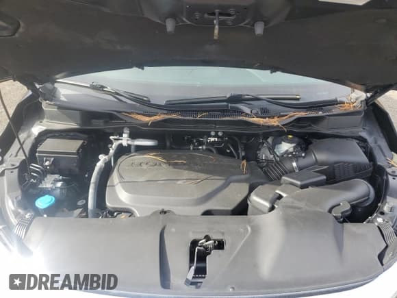 ✅ 2023 Honda Odyssey EX-L • VIN: 5FNRL6H62PB076065 • Lot: 87019175. Listed on Copart with 10,613 mi. Free auction sales archive from the USA and detailed vehicle history report at DreamBid. Image 12.