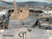 ✅ 2004 Honda Odyssey EX-L • VIN: 5FNRL18014B121667 • Lot: 43823364. Listed on IAAI with 181,640 mi. Free auction sales archive from the USA and detailed vehicle history report at DreamBid. Image 10.