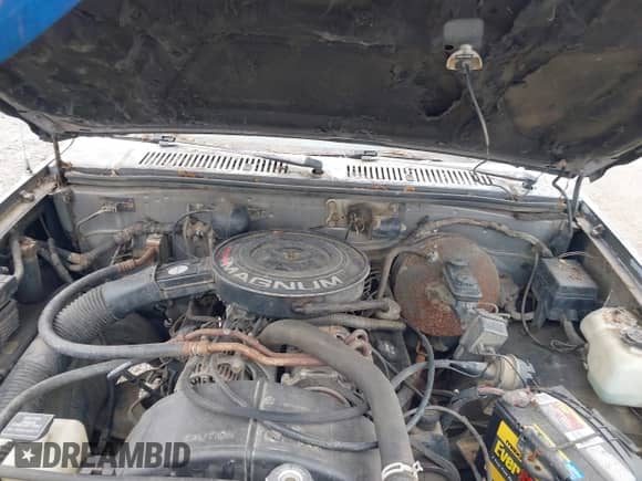 1992 Dodge Dakota с VIN 1B7FL23X1NS640431, выставлен на аукционе IAAI как лот 42467935 с пробегом 125 657 миль миль и . История ставок и продаж доступна на DreamBid. Изображение 10.