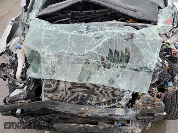 ✅ 2009 Hyundai Accent Auto SE • VIN: KMHCN36C39U116246 • Лот: 84941824. Опубликован ранее на Copart с пробегом Не указан. Бесплатный доступ к архиву аукционных продаж из США и подробный отчёт об истории автомобиля на DreamBid. Изображение 11.