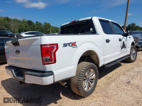 ✅ 2017 Ford F-150 XL • VIN: 1FTEW1EP3HFB04037 • Lot: 43154311. Listed on IAAI with 141,352 mi. Free auction sales archive from the USA and detailed vehicle history report at DreamBid. Image 4.