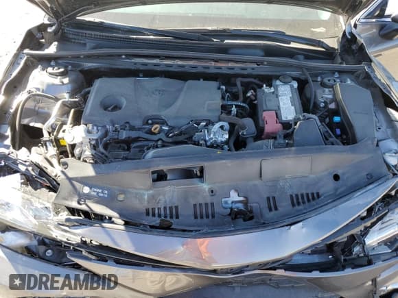 ✅ 2024 Toyota Camry XLE • VIN: 4T1F11AK0RU876453 • Lot: 82197295. Wystawiony na Copart z przebiegiem 17 901 mil. Bezpłatny archiwum sprzedaży aukcyjnych z USA i szczegółowy raport historii pojazdu na DreamBid. Zdjęcie 11.