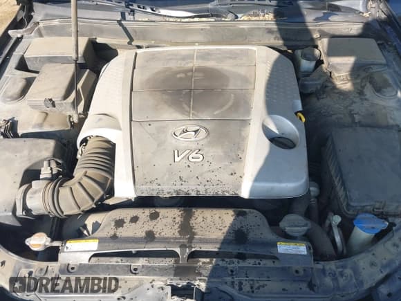 ✅ 2009 Hyundai Genesis • VIN: KMHGC46E69U046515 • Lot: 43634289. Wystawiony na IAAI z przebiegiem 195 447 mil. Bezpłatny archiwum sprzedaży aukcyjnych z USA i szczegółowy raport historii pojazdu na DreamBid. Zdjęcie 10.