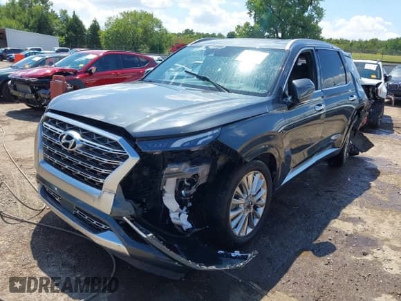 ✅ 2020 Hyundai Palisade Limited • VIN: KM8R54HE5LU130459 • Лот: 42912899. Опубликован ранее на IAAI с пробегом 172 228 миль. Бесплатный доступ к архиву аукционных продаж из США и подробный отчёт об истории автомобиля на DreamBid. Изображение 18.