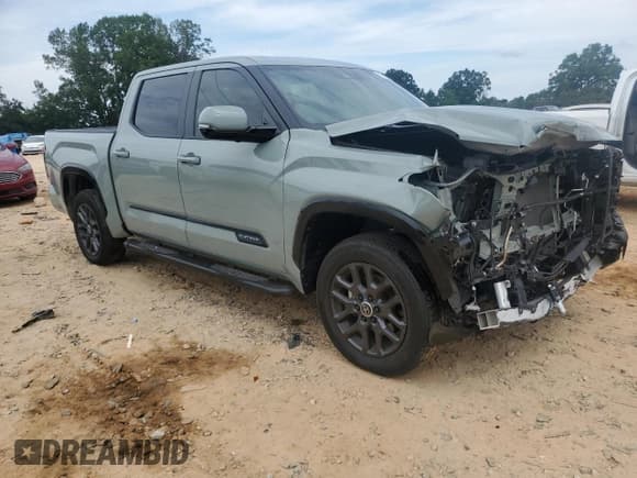 ✅ 2024 Toyota Tundra Platinum • VIN: 5TFNA5DB8RX189920 • Lot: 80750955. Listed on Copart with 22,772 mi. Free auction sales archive from the USA and detailed vehicle history report at DreamBid. Image 4.