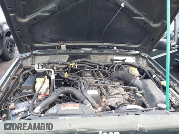 ✅ 1998 Jeep Cherokee Sport • VIN: 1J4FJ68S3WL148094 • Lot: 43600732. Wystawiony na IAAI z przebiegiem 175 309 mil. Bezpłatny archiwum sprzedaży aukcyjnych z USA i szczegółowy raport historii pojazdu na DreamBid. Zdjęcie 10.