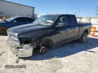 2010 Dodge 1500 SLT z VIN 1D7RB1GT4AS115798, wystawiony jako Copart lot #80675144 z przebiegiem 158 703 mil mil oraz Szkoda całkowita • Salvage title. Historia ofert i sprzedaży dostępna na DreamBid. Obrazek 1.