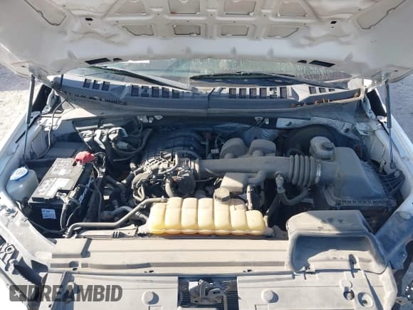 ✅ 2019 Ford F-150 XL • VIN: 1FTMF1CBXKKD47748 • Lot: 41983277. Listed on IAAI with 120,933 mi. Free auction sales archive from the USA and detailed vehicle history report at DreamBid. Image 10.