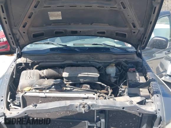 2003 Dodge 1500 ST z VIN 1D7HA18N13S360544, wystawiony jako IAAI lot #41808387 z przebiegiem 169 785 mil mil oraz . Historia ofert i sprzedaży dostępna na DreamBid. Obrazek 10.