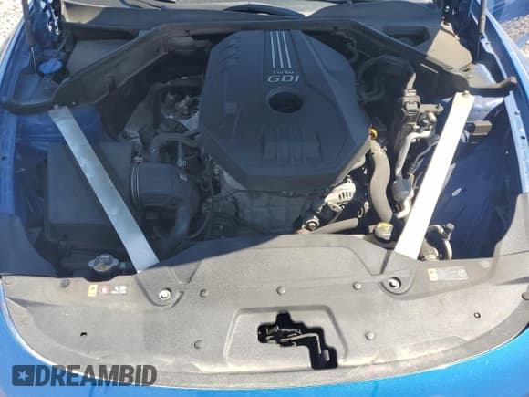 ✅ 2019 Kia Stinger • VIN: KNAE15LA4K6047646 • Lot: 68567185. Listed on Copart with 49,016 mi. Free auction sales archive from the USA and detailed vehicle history report at DreamBid. Image 11.