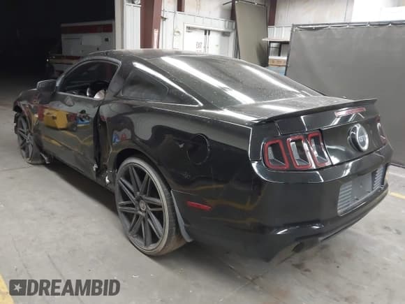 ✅ 2013 Ford Mustang GT • VIN: 1ZVBP8CF8D5262597 • Lot: 42111486. Listed on IAAI with 85,913 mi. Free auction sales archive from the USA and detailed vehicle history report at DreamBid. Image 3.