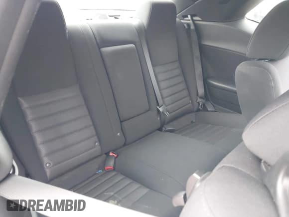 ✅ 2010 Dodge Challenger SE • VIN: 2B3CJ4DV4AH318483 • Lot: 41356521. Wystawiony na IAAI z przebiegiem 111 356 mil. Bezpłatny archiwum sprzedaży aukcyjnych z USA i szczegółowy raport historii pojazdu na DreamBid. Zdjęcie 8.