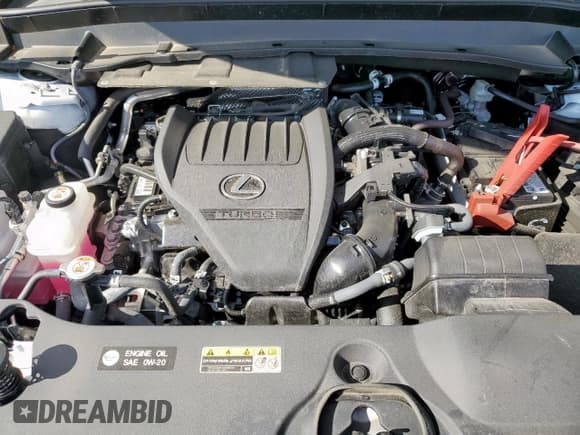 ✅ 2025 Lexus TX 350 Premium • VIN: 5TDAAAB65SS025646 • Lot: 84398445. Wystawiony na Copart z przebiegiem 7 450 mil. Bezpłatny archiwum sprzedaży aukcyjnych z USA i szczegółowy raport historii pojazdu na DreamBid. Zdjęcie 12.