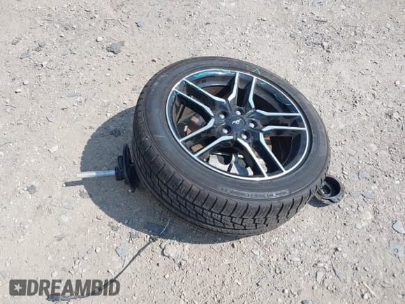 ✅ 2023 Ford Mustang EcoBoost • VIN: 1FA6P8THXP5102382 • Lot: 43256248. Listed on IAAI with 45,370 mi. Free auction sales archive from the USA and detailed vehicle history report at DreamBid. Image 12.