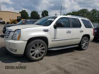 ✅ 2010 Cadillac Escalade • VIN: 1GYUKAEF8AR169401 • Lot: 68390435. Wystawiony na Copart z przebiegiem 308 147 mil. Bezpłatny archiwum sprzedaży aukcyjnych z USA i szczegółowy raport historii pojazdu na DreamBid. Zdjęcie 1.