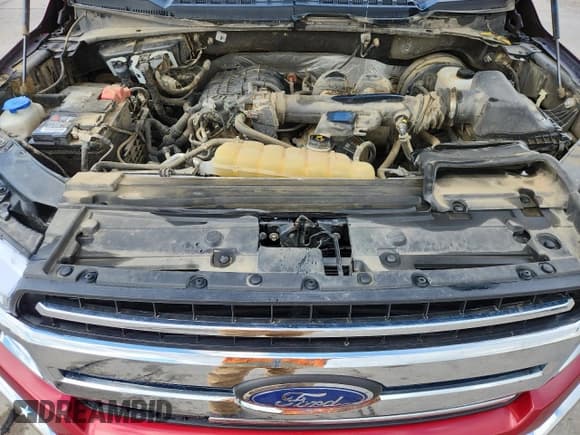 ✅ 2019 Ford F-150 XL • VIN: 1FTEX1CB3KKE57106 • Lot: 70482575. Wystawiony na Copart z przebiegiem Nie podano. Bezpłatny archiwum sprzedaży aukcyjnych z USA i szczegółowy raport historii pojazdu na DreamBid. Zdjęcie 11.