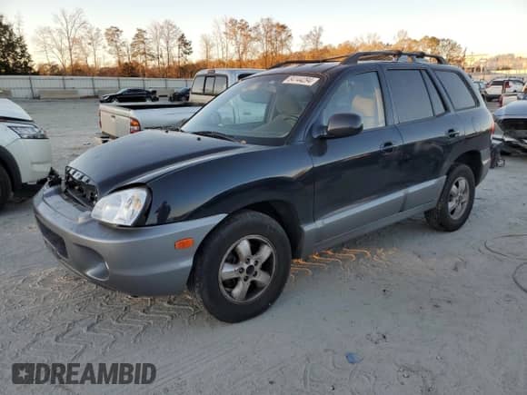 2005 Hyundai Santa Fe GLS with VIN KM8SC73D55U934996, listed as a Copart auction lot 84144294 with 252,402 mi miles and Salvage title. Bid and sale history available at DreamBid. Image 1.