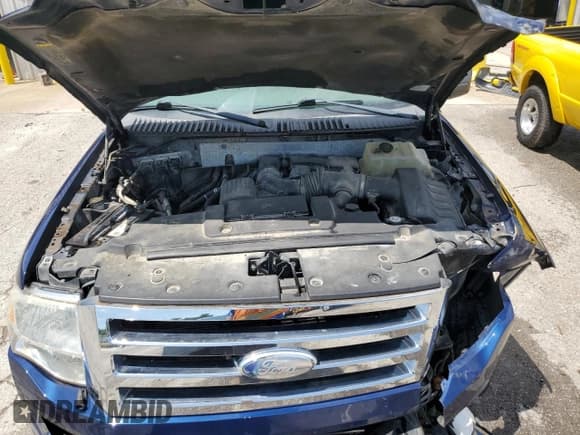 ✅ 2009 Ford Expedition SSV • VIN: 1FMFU16549LA05586 • Lot: 61261425. Listed on Copart with 217,382 mi. Free auction sales archive from the USA and detailed vehicle history report at DreamBid. Image 12.