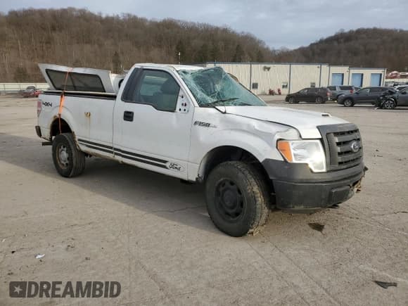 ✅ 2010 Ford F-150 XL • VIN: 1FTNF1E81AKB37107 • Lot: 43916295. Listed on Copart with 122,748 mi. Free auction sales archive from the USA and detailed vehicle history report at DreamBid. Image 4.