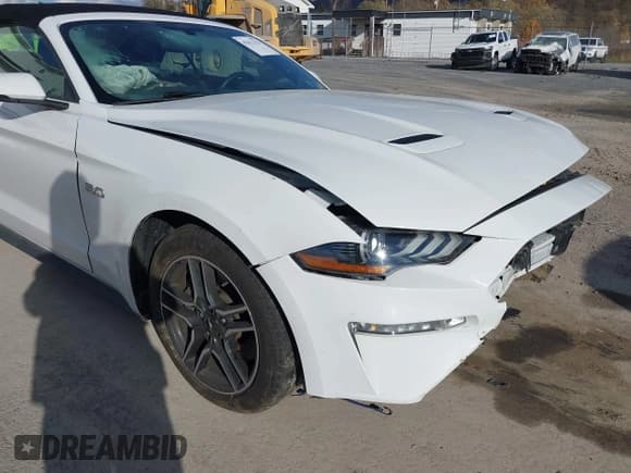 ✅ 2019 Ford Mustang GT Premium • VIN: 1FATP8FF4K5171736 • Lot: 43613323. Wystawiony na IAAI z przebiegiem 59 354 mil. Bezpłatny archiwum sprzedaży aukcyjnych z USA i szczegółowy raport historii pojazdu na DreamBid. Zdjęcie 18.